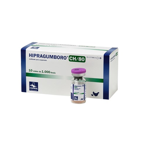 HIPRAGUMBORO-CH80